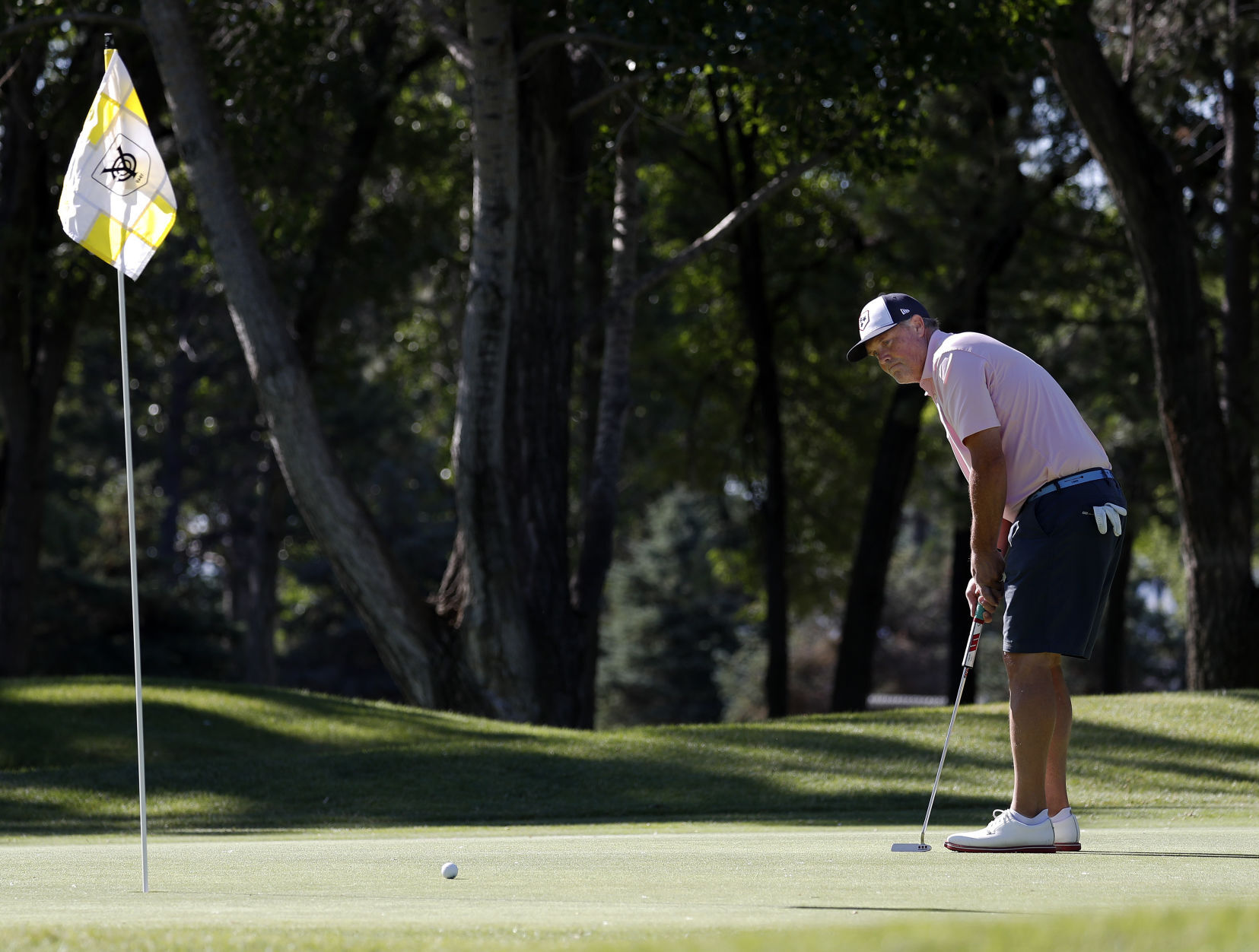 Men's Senior Amateur Championship